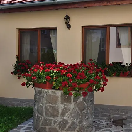 Aparthotel Anna
